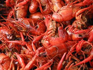 #17 Crawfish Boils | Stuff Cajun People Like Cajun People, Creole Kitchen, Live Crawfish, Boiled Crawfish, Louisiana Bayou, Louisiana Cajun, Crawfish Boil, Seafood Boil, Restaurant Guide