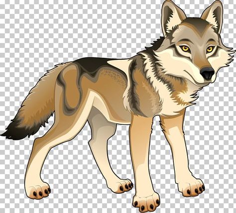 Wolf Animation, Woods Animals, Wolf Cartoon, Ethiopian Wolf, Brown Wolf, Wolf Clipart, Angry Wolf, Cartoon Wolf, Wolf Illustration