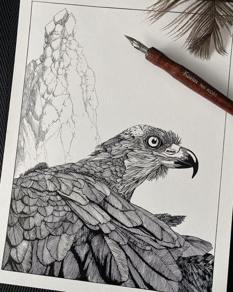 Ink Bird Drawing in Black and White Osprey Bird, Micron Pen Art, Fineliner Art, Eagle Drawing, Ink Pen Art, Pen Art Drawings, Art Drawings Sketches Pencil, Ink Drawing Illustration, Ink Sketch