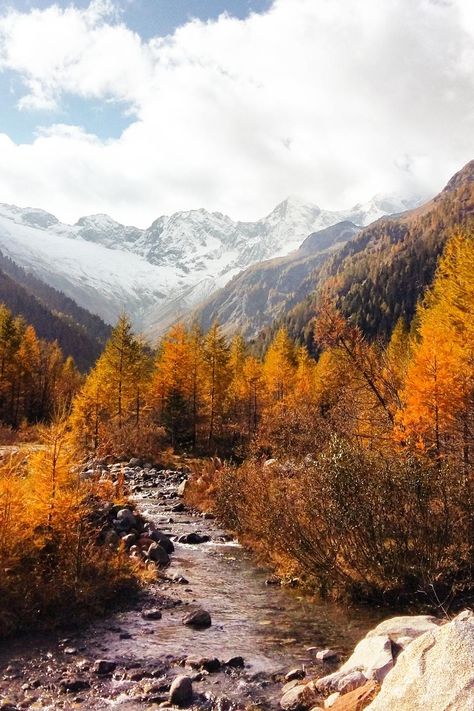 Click through to see photos from a hike in Italy's beautiful alps! | Nature | Walk | Autumn | Hiking  #traveldestinations #travelphotography #fallphotography Fall Hiking Aesthetic, Austria Autumn, Autumn In Italy, Authentic Pics, Italian Autumn, Autumn Italy, Alps Hiking, Autumn Hike, Fall Hike