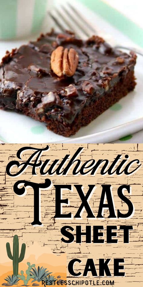 Chocolate Fudge Sheet Cake, Texas Fudge Cake, Cake Recipe With Buttermilk, Texan Food, Texas Foods, Dark Chocolate Icing, Chocolate Texas Sheet Cake, Recipe With Buttermilk, Texas Chocolate Sheet Cake