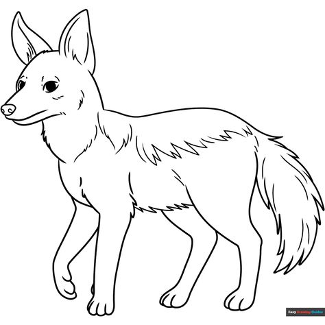 Free Jackal Coloring Page for Kids Jackal Drawing, Easy Drawing Guides, Panda Coloring Pages, Drawing Guides, Easy Animals, Popular Cartoons, Kids Print, Cartoon Panda, Drawing Book