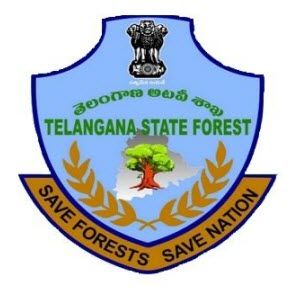 Telangana State Forest Department Forest Department, Indian Wedding Photography Poses, Forest Service, Indian Wedding Photography, Wedding Photography Poses, Flora And Fauna, Indian Wedding, Photography Poses, Wedding Photography