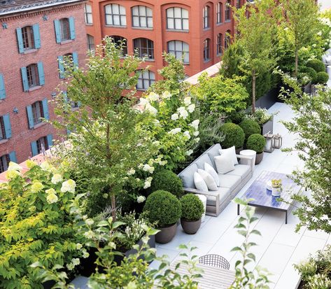 Garden On Top Roof, Plants On Roof Top, Rooftop Terrace Plants, Rooftop Gardens Design, Roof Top Gardens Ideas, Urban Rooftop Garden, Rooftop Plants Ideas, Roof Top Garden Ideas, Garden On Terrace