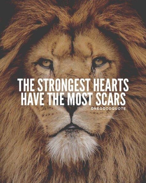 #Facts #Deep Only cowards #Quit. #Champions find a way to roar, even in, especially in, the darkness if night. #Roar at the shattered pieces of your #Heart until they reassemble even #stronger than they were before.. Lion Quotes, Motivational Quotes Positive, Lion Love, Inspirational Quotes About Success, Quotes By Genres, Warrior Quotes, Short Inspirational Quotes, Lion Of Judah, Badass Quotes