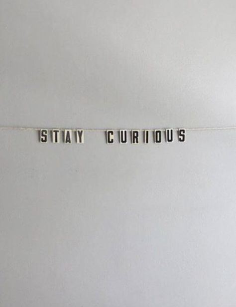 “Stay Curious…” Stay Curious, Fina Ord, Life Quotes Love, Word Up, Note To Self, The Words, Beautiful Words, Inspirational Words, Cool Words