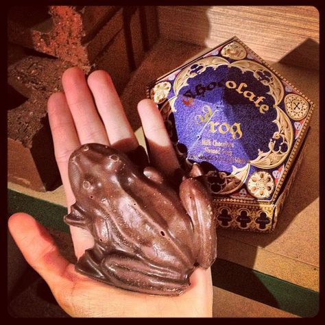 #HarryPotter chocolate frog via sdupreebemis flickr Chocolate Frogs Harry Potter, Frog Card, Chocolate Frogs, The Hallow, Harry Potter Food, Festa Harry Potter, Harry Potter Wizard, Chocolate Frog, Pottery Pot