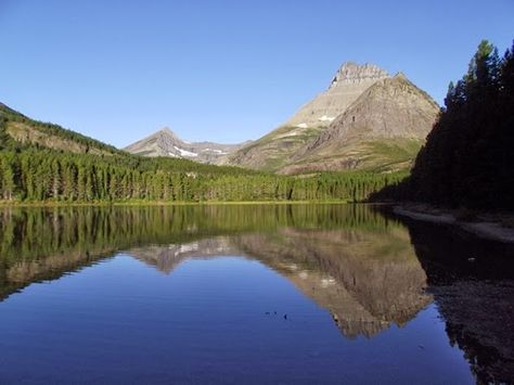 10 Best Hikes in Glacier National Park at Montana Wild Rv Parks Near Glacier National Park, Lake Mcdonald Glacier National Park, Glacier National Park Lake Mcdonald, Many Glacier Montana, Montana National Parks, Waterton Lakes National Park, Many Glacier, Emigrant Montana, Wildlife Park