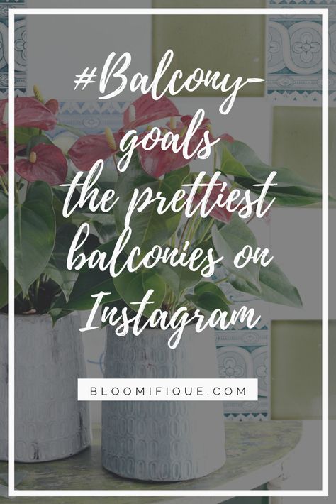 #balconygoals: the most beautiful balconies on Instagram | Bloomifique | balcony, rooftop terrace, terrace, anthurium, flower, flowers, plant, plants, houseplant, houseplants #anthurium #kamerplant Balcony Quotes, Beautiful Balconies, Anthurium Flower, The Balcony, Rooftop Terrace, Home Deco, House Plants, Balcony, Chalkboard Quote Art