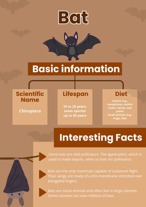 Bats Facts, Bat Poster, All About Bats, Bat Facts, Agave Plant, Poster Drawing, Animal Posters, Research Projects, Life Science