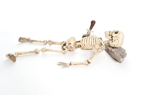 580 Skeleton Lying Down Stock Photos, Pictures & Royalty-Free Images - iStock Skeleton Laying Down Reference, Skeleton Lying Down, Skeleton Laying Down, Gcse Art, Art Exhibition, Decorative Bells, Royalty Free Images, Free Images, Skeleton