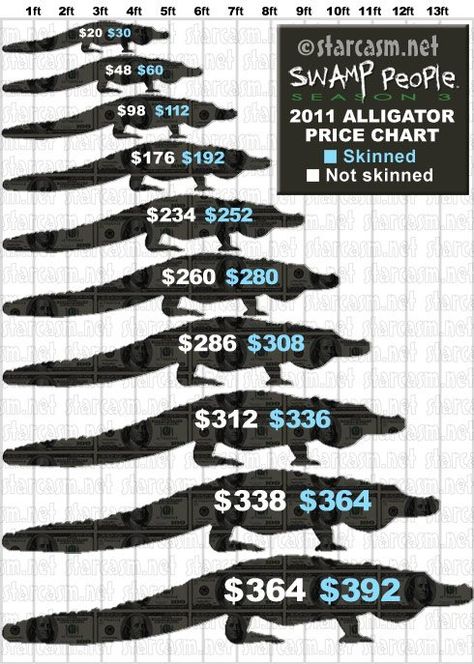 Swamp People Alligator chart Alligator Hunting, Swamp People, Louisiana Swamp, Price Chart, Louisiana State, History Channel, Love To Meet, Reality Tv Shows, Gold Rush