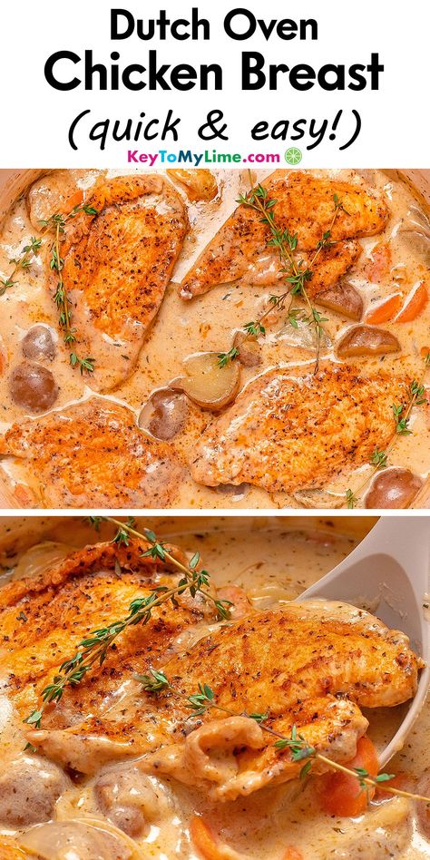 Chicken In Le Creuset Dutch Oven Recipes, Easy Chicken Dutch Oven Recipes, Chicken In A Dutch Oven Easy Recipes, Chicken In The Dutch Oven, Dutch Oven Marry Me Chicken, Ditch Oven Chicken Recipe, Creamy Chicken Dutch Oven Recipes, Chicken Recipe Dutch Oven, Chicken And Potatoes Dutch Oven