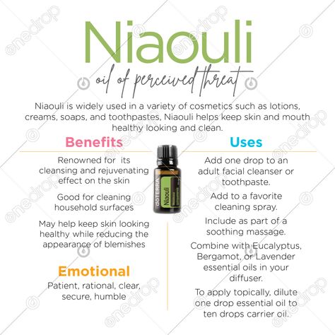 Benefits Of Eucalyptus Oil, Lemon Eucalyptus Oil Uses, Doterra Lemon Eucalyptus, Eucalyptus Uses, Eucalyptus Benefits, Eucalyptus Essential Oil Uses, Eucalyptus Oil Benefits, Lemon Essential Oil Benefits, Sacred Sisters