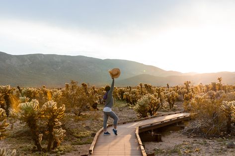 Let's Take a Trip to Joshua Tree and 29 Palms 29 Palms, Twentynine Palms, Beautiful California, Desert Travel, Yucca Valley, National Park Photos, Joshua Tree National Park, San Bernardino, Nature Center