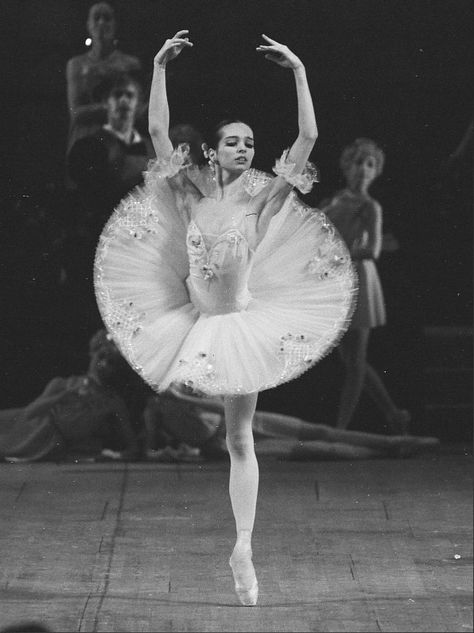 2000s Pictures, Diana Vishneva, Mariinsky Ballet, Ballet Posters, American Ballet Theatre, Russian Ballet, Saint Petersburg Russia, Classical Ballet, Don Quixote