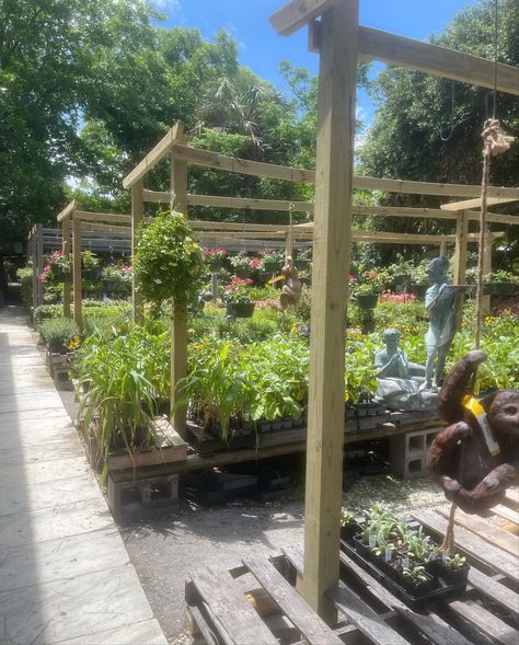 School Garden Club, School Building Design, Aspen House, Portable Garden, Green School, School Interior, Aesthetic Garden, School Clubs, Garden Nursery