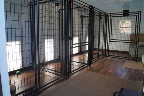 Our Property and Whelping Kennel - Dry Pond Kennel Dog Kennel Rooms In House, Dry Pond, Dog Breeders Kennels, Big Dog Kennels, Dog Breeding Kennels, Dog Whelping Box, Dog Kennel Ideas, K9 Kennels, Kennel Diy