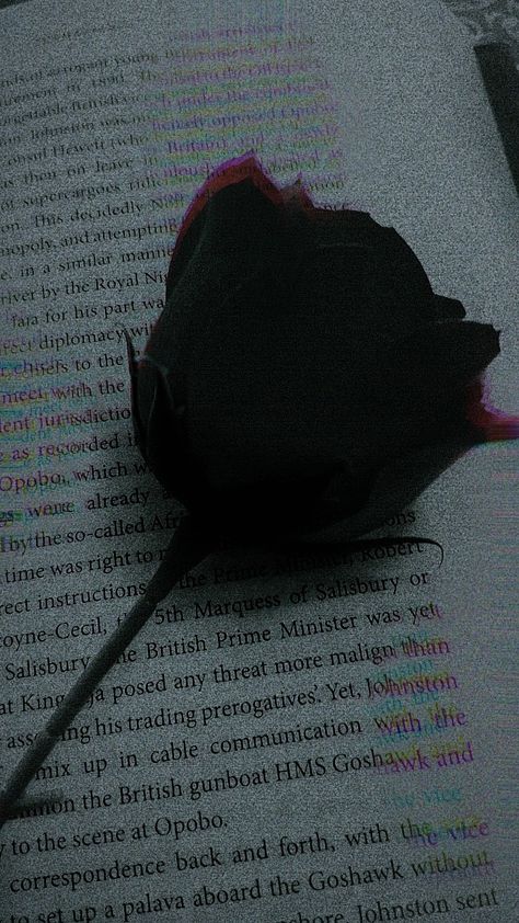 Aesthetical Matthew Stone, Rose In Hand, Rose Book, Rose Pic, Black And White Roses, Black Rose Flower, Dark Books, Aesthetic Roses, Photos For Profile Picture