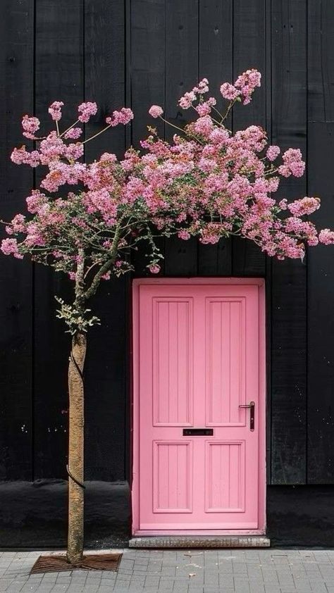 Window Seat Ideas, Tree Flowers, Pink Door, Cool Doors, Cozy Spot, Old Doors, Unique Doors, Beautiful Doors, Door Color