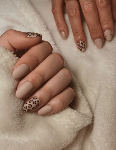 Cheetah Print Nails, Cheetah Nails, Short Gel Nails, Leopard Print Nails, Gel Nails Diy, Print Nails, French Acrylic Nails, Fall Acrylic Nails, Leopard Nails