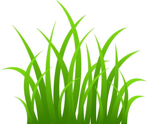 grass border clip art - Google Search Cartoon Grass, Grass Clipart, Grass Drawing, Spring Clean Up, Diy Lawn, Lawn Care Tips, Types Of Grass, Clip Art Borders, Cartoon Clip Art