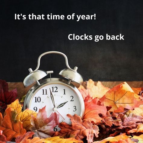 Fall Back Quotes, Daylight Savings Fall Back, Fall Back Time Change, Turn Clocks Back, Winter Time Change, Fall Back Time, Spring Forward Fall Back, Clocks Fall Back, Clocks Go Back