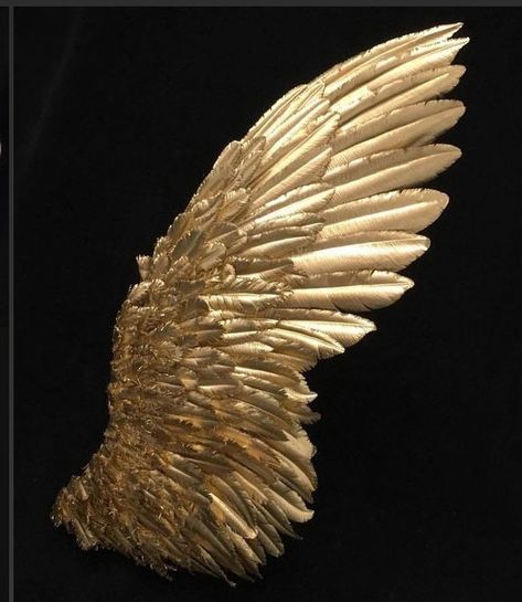 Angel Wings Png, African Women Painting, Persian Calligraphy Art, Diy Wings, Kobe Bryant Pictures, Golden Wings, Gold Angel Wings, Beauty Salon Decor, Wings Art