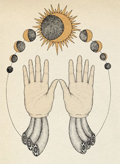 Katie Scott, Medical Astrology, Moon Cycle, Sacred Plant, The Sun And Moon, Psy Art, Arte Inspo, Art Et Illustration, Moon Art