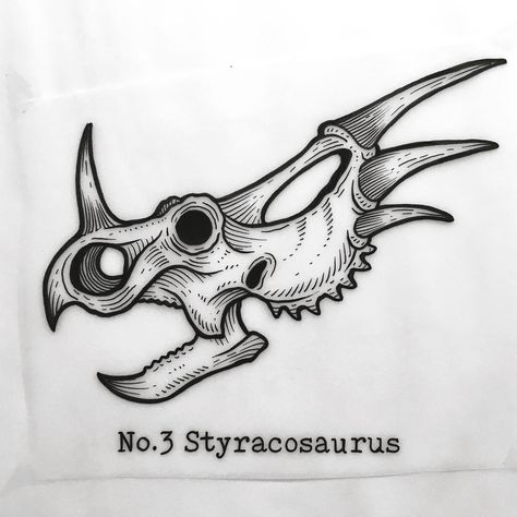 SOLD One of my favourites innit - - -  #dinosaurtattoo #dinosaur #dinosaurs #styracosaurus #skull #skulltattoo #fossil #fossiltattoo… Triceratops Skull Drawing, Styracosaurus Skull, Triceratops Tattoo, Dr Alan Grant, Alan Grant, Dinosaur Tattoos, Animal Skeletons, Dinosaur Drawing, Skull Drawing