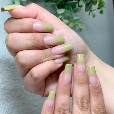 Colour Parlor Hair & Nails on Instagram: “Khaki green french Gel X 🧟‍♀️ by @lolas_nailz . . . . . #miaminailsalon #nailart #miaminailartist #naildesigns #nailstamping #longnails…” Green French, Hair Nails, Nail Stamping, Khaki Green, Nail Artist, Nail Salon, Long Nails, Nail Designs, Nail Art