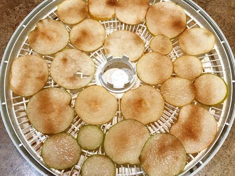 Dehydrated Pears In Air Fryer, Storing Pears, Dehydrating Pears In Dehydrator, How To Dehydrate Pears, Dried Pears Dehydrator, Pear Dehydrator Recipes, Pear Chips Dehydrator, Dehydrate Pears In Dehydrator, Dehydrating Pears