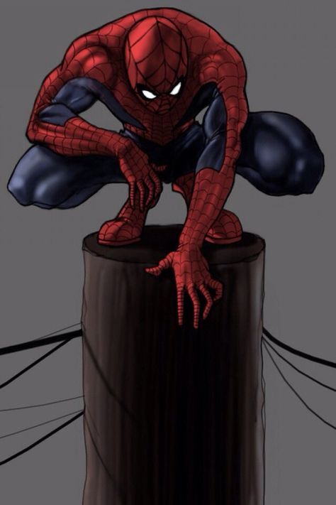 Spidey perch Perch Pose Reference, Spiderman Perched, Perching Pose Reference, Action Poses, Pose Ideas, Cartoon Drawings, Pose Reference, Marvel Comics, Deadpool