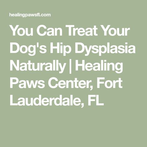 You Can Treat Your Dog's Hip Dysplasia Naturally | Healing Paws Center, Fort Lauderdale, FL Dog Hip Dysplasia, Hip Dysplasia, Natural Remedy, Fort Lauderdale, Treat Yourself, Natural Remedies, Dog Food Recipes, Fort, Herbs