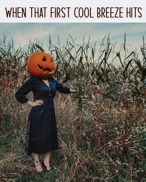 October Memes Funny, Halloween Ambience, October Country, Fall Humor, Fall Memes, Halloween Photo, Halloween Wallpaper Iphone, Autumn Quotes, Pumpkin Head