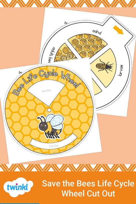 Bees Preschool, World Bee Day, Bee Life Cycle, Spin Wheel, Animal Activities For Kids, Bee Day, Visual Aid, About World, Animal Activities