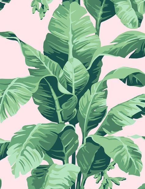 Best Removable, Temporary, Peel & Stick Wallpaper Patterns You'll Love | Wallshoppe Palm Print Wallpaper, Martinique Wallpaper, Banana Leaf Print, Palm Wallpaper, Classic Wallpaper, Beverly Hills Hotel, Tropical Wallpaper, Pattern Pictures, Eco Friendly Paper