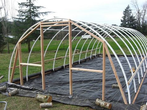 Easy to Follow DIY Greenhouse Plan... Just "GROW" With It | DIY Greenhouse | Greenhouse | Build a Greenhouse | Garden | Greenhouse Gardening Hoop Greenhouse, Serre Diy, Simple Greenhouse, Pvc Greenhouse, Greenhouse Farming, Hoop House, Diy Greenhouse Plans, Outdoor Greenhouse, Build A Greenhouse