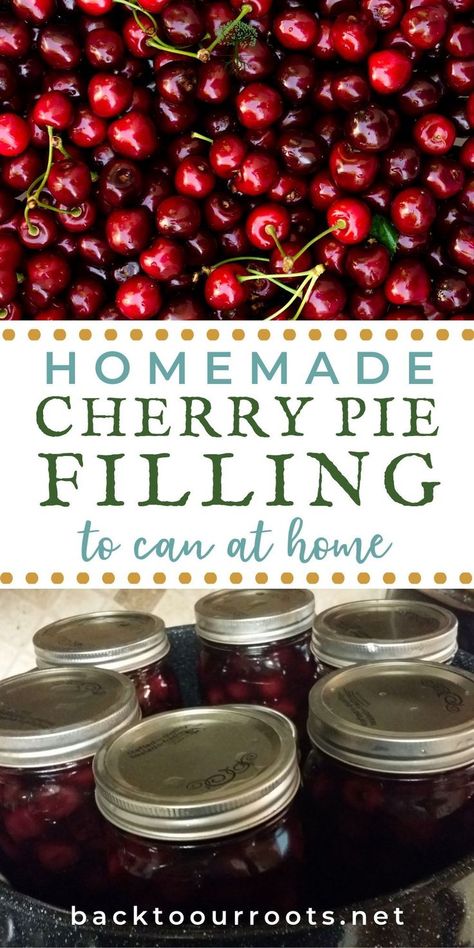 Homemade Cherry Pie Filling, Homemade Cherry Pie, Cherry Pie Filling Recipes, Homemade Cherry Pies, Canning Fruit, Canning Cherry Pie Filling, Home Canning Recipes, Pie Filling Recipes, Canning Food Preservation