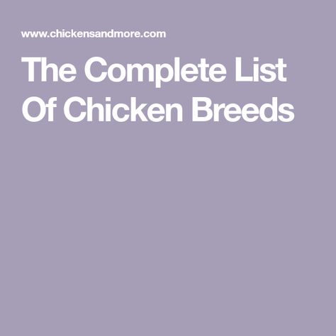 The Complete List Of Chicken Breeds Rhode Island Red, Plymouth Rock, Egg Production, Brown Eggs, Blue Eggs, Egg Laying, Chicken Breeds, Coloring Eggs, Egg