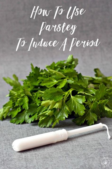 Herbs To Start Period, Period Inducing Exercises, Inducing Period Naturally, Late Period Remedies, How To Get Your Period To Start Now, Period Remedies, Parsley Tea, Cruise Hacks, Period Days