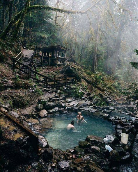 Terwilliger Hot Springs | cougar hot springs Herbarium Aesthetic, Hot Springs Oregon, Oregon Travel, Destination Voyage, Hot Spring, Blue Water, Hot Springs, Pacific Northwest, Vacation Spots