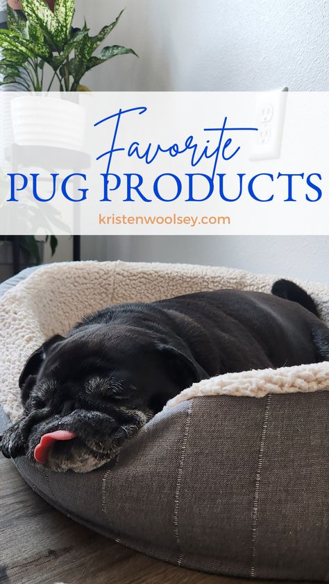 Old Pug, Best Amazon Products, A Pug, Best Amazon, Pug, Roxy, Lifestyle Blog, Car Seats, Pet Supplies