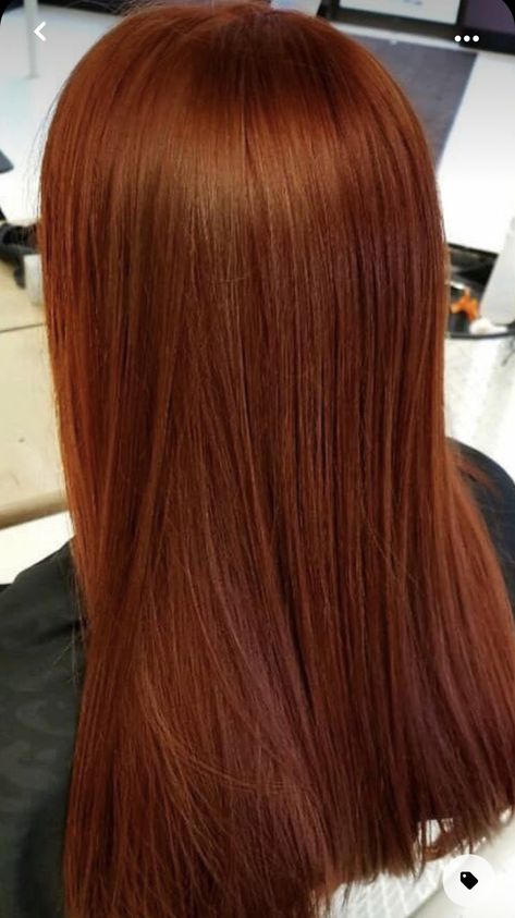 Arctic Fox Sunset Orange On Dark Hair, Dark Red Orange Hair, Cobre Hair, Cobrizo Hair, Dark Ginger Hair Color, Dark Copper Red Hair, Auburn Ginger Hair, Cinnamon Red Hair Color, Rich Copper Red Hair