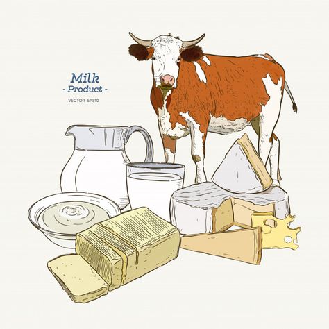 Dairy products collection. cow, milk pro... | Premium Vector #Freepik #vector #food #vintage #hand #cartoon Milk Drawing, Cheese Cartoon, Cow Vector, Cow Illustration, Farm Landscape, Cow Drawing, Cow Cheese, Milk Products, Cow Milk