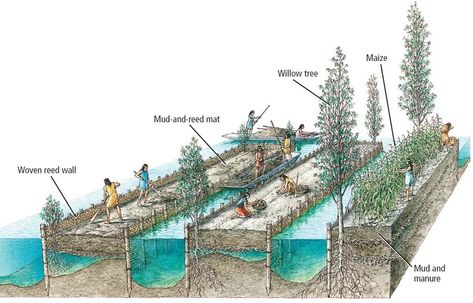 Garden Worksheet, Eco Construction, Ancient Aztecs, Floating Garden, San Gregorio, Urban Agriculture, Agricultural Land, Permaculture Design, Earthship