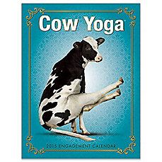 Animals Doing Yoga, Cow Yoga, Cow Photography, Wood Craft Patterns, Happy Cow, Account Closed, Cartoon Cow, Childrens Books Illustrations, Willow Creek