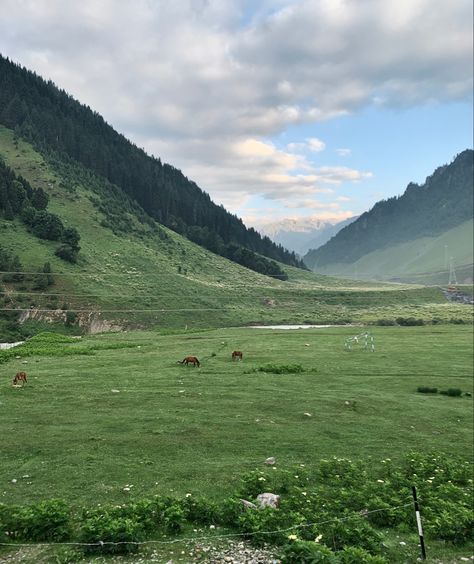 #aruvalley #kashmir #valley Aru Valley, Kashmir Valley