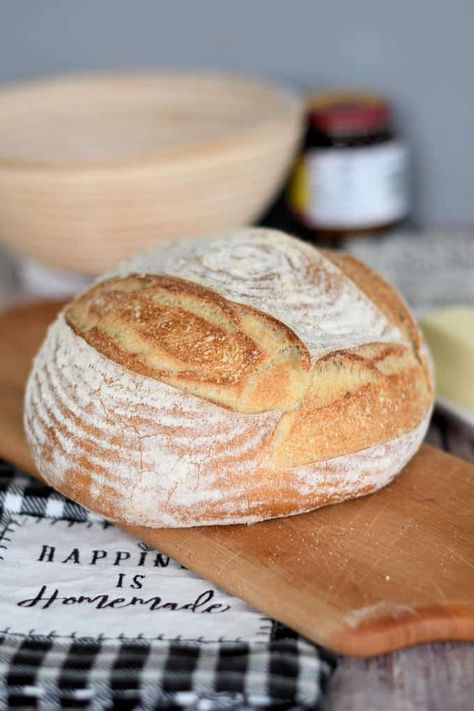 This Semolina Bread Recipe produces an artisan loaf with a crisp crust and light, chewy crumb. It is best baked in a Dutch oven, but the recipe is very flexible and adaptable. Sourdough Pumpernickel, Semolina Bread Recipe, Semolina Bread, Honey Whole Wheat Bread, Semolina Recipe, White Sandwich Bread, Italian Bread Recipes, Gourmet Bakery, Oatmeal Bread