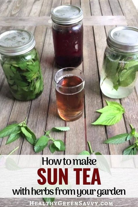 How to Make Sun Tea with Herbs From Your Garden Sun Tea Recipe, Sun Tea Recipes, Hibiscus Tea Benefits, Lemon Balm Tea, Growing Mint, Seasonal Eating, Grow Herbs, Sun Tea, Homemade Tea